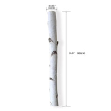 Load image into Gallery viewer, Birch Tree Night Light