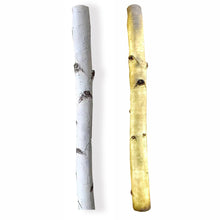 Load image into Gallery viewer, Birch Tree Night Light