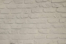 Load image into Gallery viewer, Aged Brick Panels